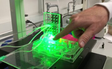 Bio-impression des ligaments et des tendons