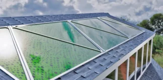 Des bio-panneaux à base d’algues pour absorber le CO2 et produire de l’énergie